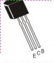 BC635_4e9b2fae93ae2.jpg